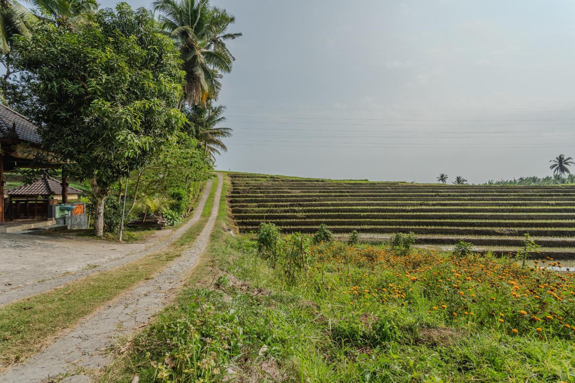 Pondok Hari Baik Balian 外观 照片