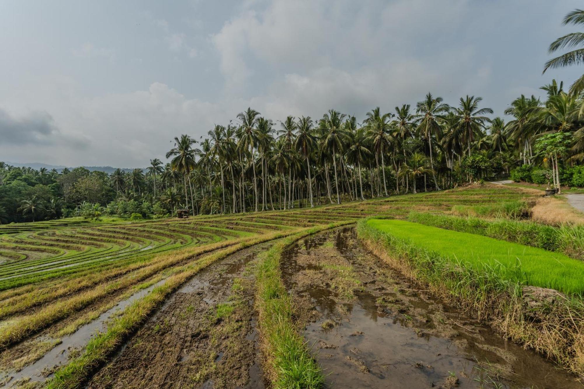 Pondok Hari Baik Balian 外观 照片